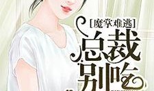 娱乐圈吃瓜小说大合集全文阅读,大合集里的瓜田秘事